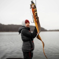 Fox Rage Slick Eel Loaded 21cm
